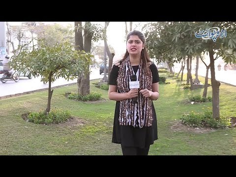 Woh Kaunsi Cheez Hai Jo Ek Hi Pal Mein Zinda Hoti Hai aur Ek Hi Pal Mein Mar Jati Hai? Common Sense