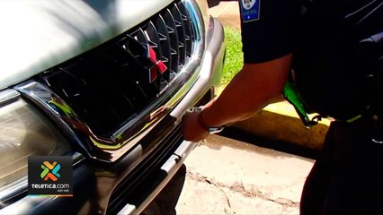 tn7-5-mil-placas-retiradas-continuan-en-cosevi-311020