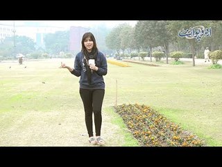 Woh Kaunsi Cheez Hai Jo Toot Bhi Jaye tou Uski Awaz Nahin Ati? Funny Common Sense Question