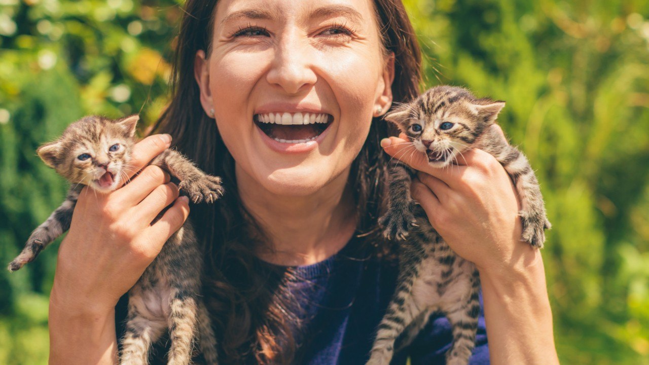 Hawaii Airlifts Out 600 Vulnerable Dogs And Cats To Mainland