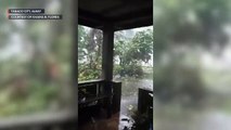 Super Typhoon Rolly (Goni) uproots trees in Tabaco, Albay