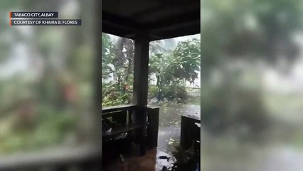 Super Typhoon Rolly (Goni) uproots trees in Tabaco, Albay