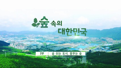 숲 속의 대한민국 - 1부. 숨 쉬는 도시, 꿈꾸는 숲 / YTN