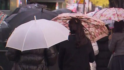 [날씨] 11월 첫날, 대부분 가을비...낮에도 서늘해요! / YTN