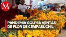 Floricultores prevén perdidas pese al Día de Muertos