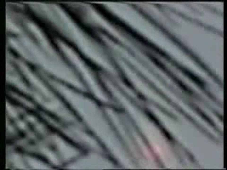 UFO Sighting In Florida