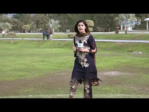 Aisa Kab Hota Hai Jab Insan Laal Par Chalta Hai Aur Sabz Per Ruk Jata Hai? Common Sense Question