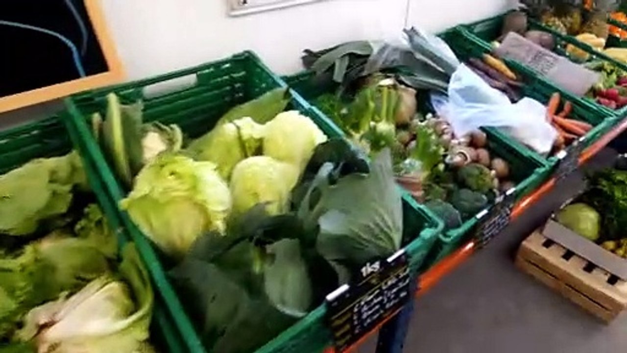 Brumath en Alsace et Horticulture Mutzig Confinement Novembre 2020