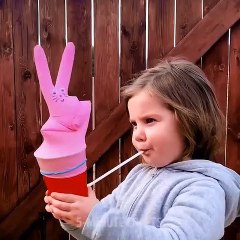 Do it YourSelf Videos 186