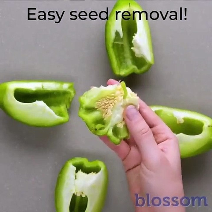 Do it YourSelf Videos 181