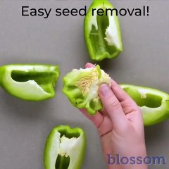 Do it YourSelf Videos 181