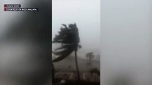 Super Typhoon Rolly (Goni): Albay Gulf storm surge