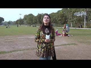 Hum Ek Hi Jaga Per Baith Kar Seerhi K Ooper Neechay Kaisay Ja Saktay Hain? Common Sense Question