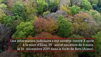 Affaire Pilarski : le pitbull Curtis, seul coupable