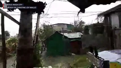 Super Typhoon Rolly (Goni): Strong winds in Mabolo, Naga City