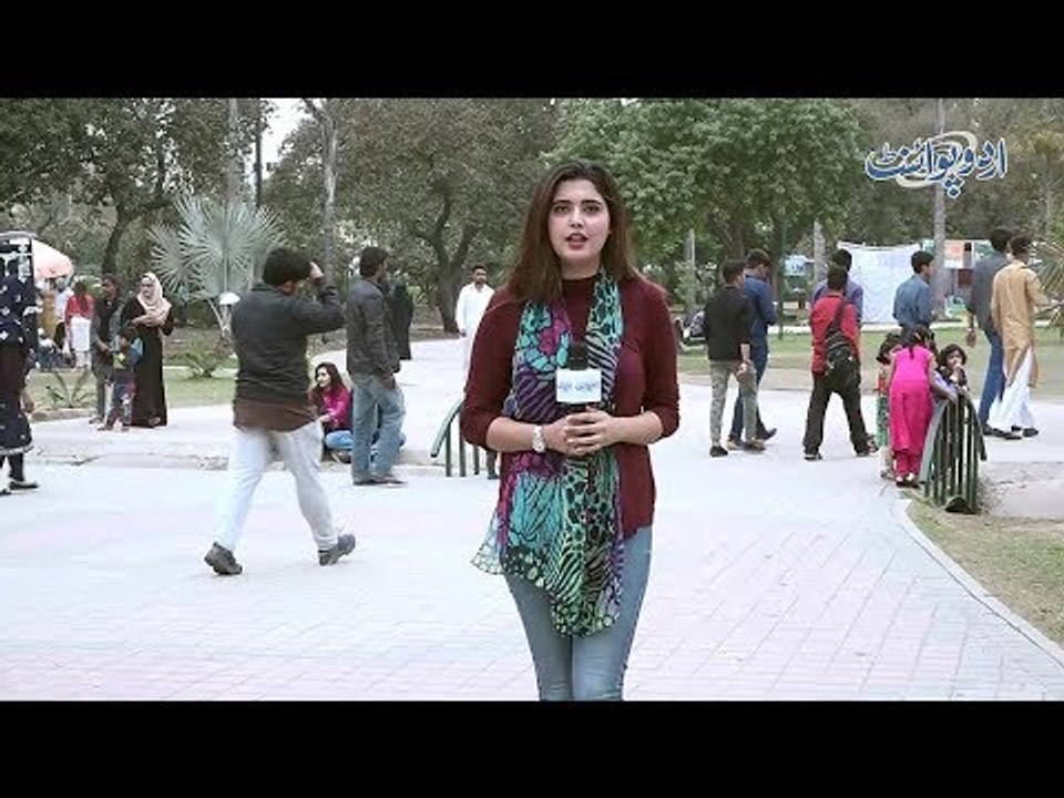 A Thief Was Fleeing After Stealing a Car With Back Lights,The Chasing Police Car Was Without Front..