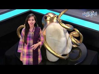 World's Largest Pearl Found in Canada, Find Out More