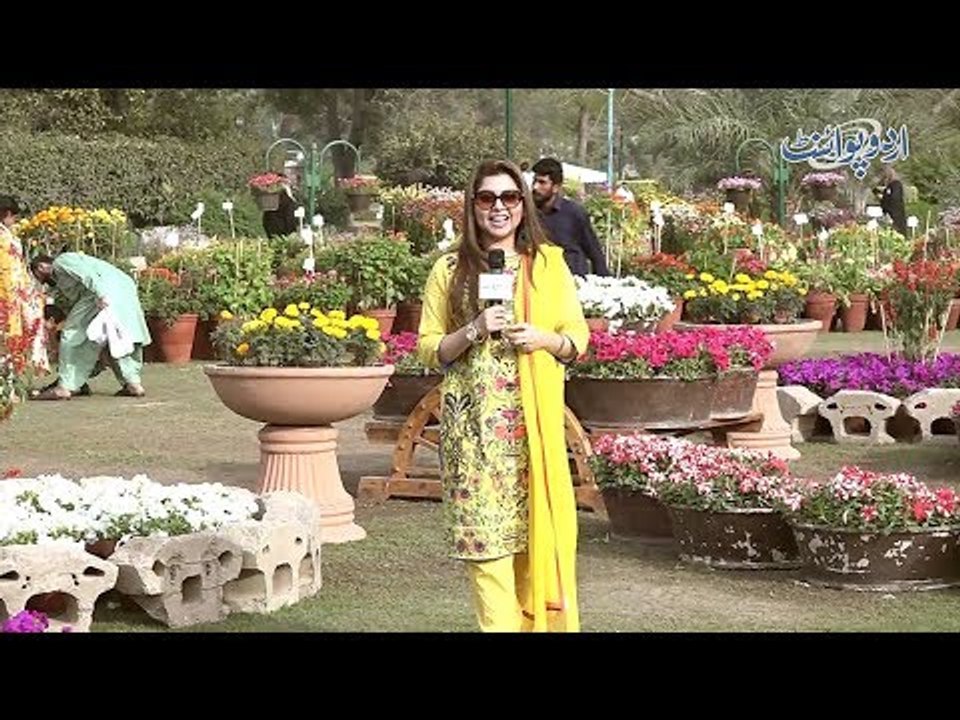 Agar Zindagi Apko Ek Singer, Artist Ya Politician Banne Ka Moqa De tou Kya Banna Chahain Ge?