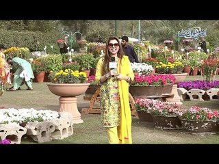 Agar Zindagi Apko Ek Singer, Artist Ya Politician Banne Ka Moqa De tou Kya Banna Chahain Ge?