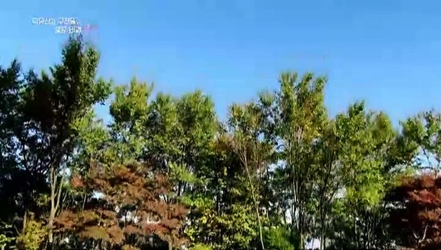 [UHD 다큐 풍경] 덕유산과 구천동이 품은 비경 무주