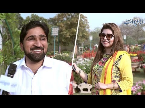 اگر زندگی آپ کو موسیقار، فنکار یا سیاستدان بننے کا موقع دے تو آپ کیا بننا چاہیں گے؟