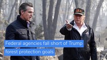 Federal agencies fall short of Trump forest protection goals, and other top stories in US news from November 01, 2020.