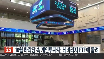 10월 하락장 속 개인투자자, 레버리지 ETF에 몰려