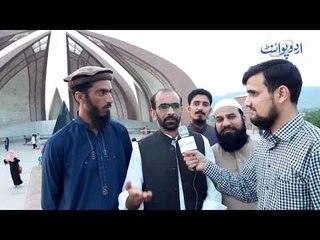 A Flower in Islamabad, Which is a Piece of Attraction Even for Foreigners