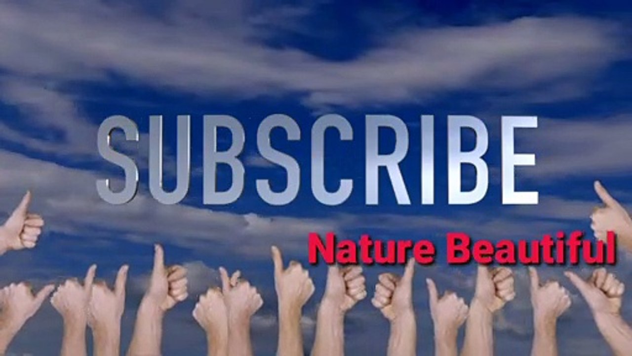 Beautiful Valley in the World_1080p