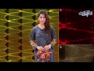 Find out Interesting Stories From the World of Tech