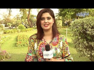 Rehti Hai Jaal Bichaye, Khud Nahin Thakti Sab Ko Thakaye... Riddle Question