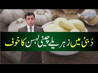 New Timings of Schools for UAE Announced, Find out More From Arab World