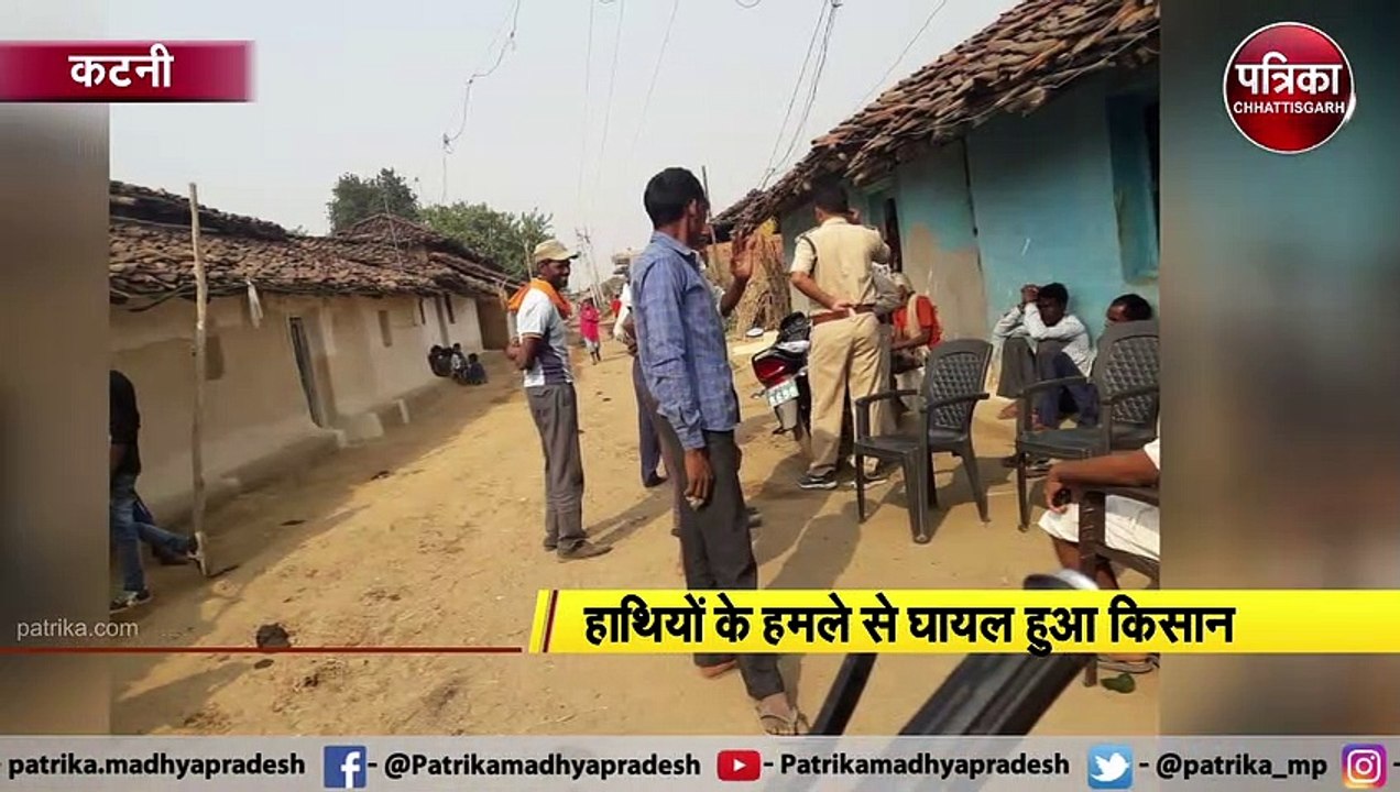 बीती रात जंगली हाथियों ने मचाया उत्पात