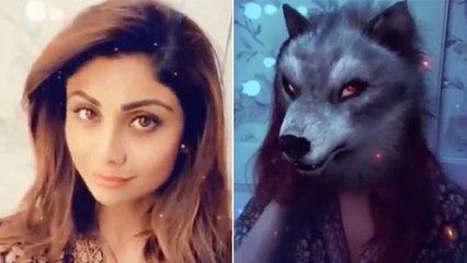 Shilpa Shetty का बदला रूप, अचानक इंसान से बनीं भेड़िया; डरावना Video Viral | Boldsky