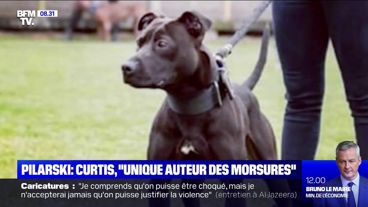 Mort d'Elisa Pilarski: Curtis est "l'unique auteur des morsures" d'après un rapport d'expertise vétérinaire