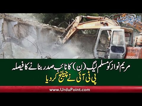 PTI Challenged Maryam Nawaz’s Appointment as PML-N Vice-President, Find Out More