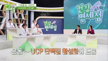 『이것』 활성화해야 ‘지방분해’ 효과↗ #광고포함