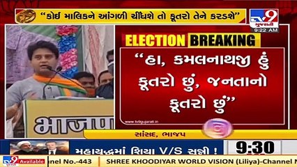 Jyotiraditya Scindia roars 'Yes, I am a dog, my master is public'; lashes at Kamal Nath