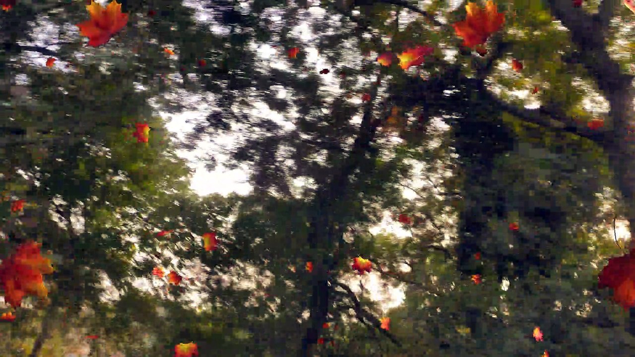 Journey Through Villages