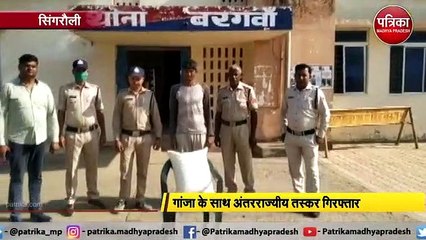 गांजा के साथ अंतरराज्यीय तस्कर गिरफ्तार