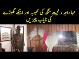 Maharaja Ranjit Singh's Amazing Museum In Pakistan | Watch Rare Things About His Lover and Horse