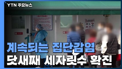 계속되는 집단감염...닷새째 세자릿수 신규 확진 / YTN