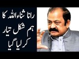 Nabeela Sanaullah Exposed ANF's Plan Against Rana Sanaullah | Allegations On Anti Narcotic Force