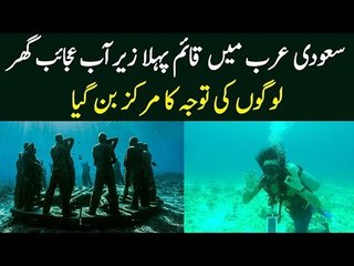 A Unique Khaleej Towers Museum Inside Ocean Made By Swimmers In Saudi Arabia
