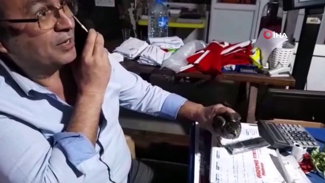 Davetsiz misafir doğaya salındı