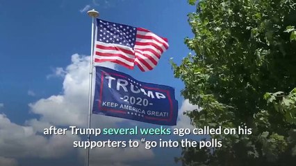 Michigan court sides with gun advocates to reverse firearm ban at polls