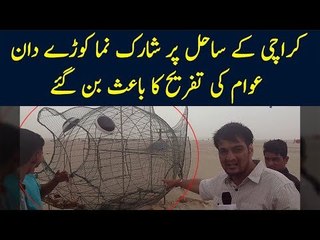 Unique Dolphin Shaped Dustbins Placed At Karachi Seaview