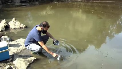 Download Video: Un equipo de investigadores españoles crean un protocolo para detectar microplásticos en los ríos