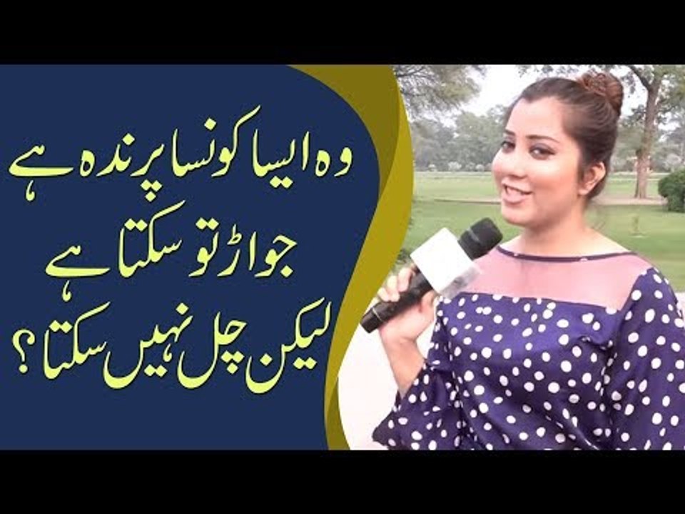 وہ ایسا کونسا پرندہ ہے جو اڑ تو سکتا ہے لیکن چل...
