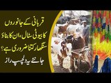 Eid-Ul-Adha 2019 | Beautiful Cow, Camel, Goat Decoration For Sacrificing Festival In Pakistan